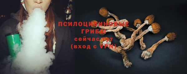 таблы Болотное