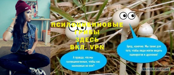 таблы Болотное