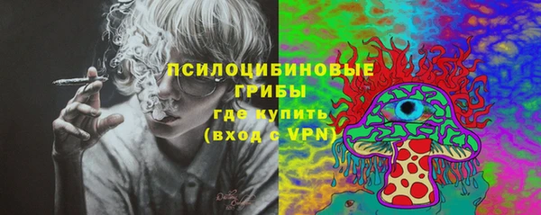 spice Болохово