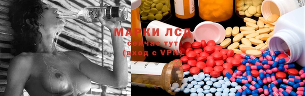 таблы Болотное