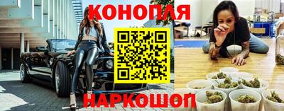 спиды Гатчина