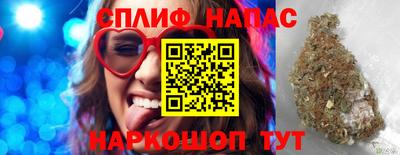 гашик Гай