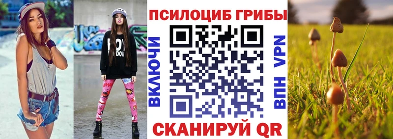 Галлюциногенные грибы Psilocybine cubensis  blacksprut ссылка  Зеленодольск 