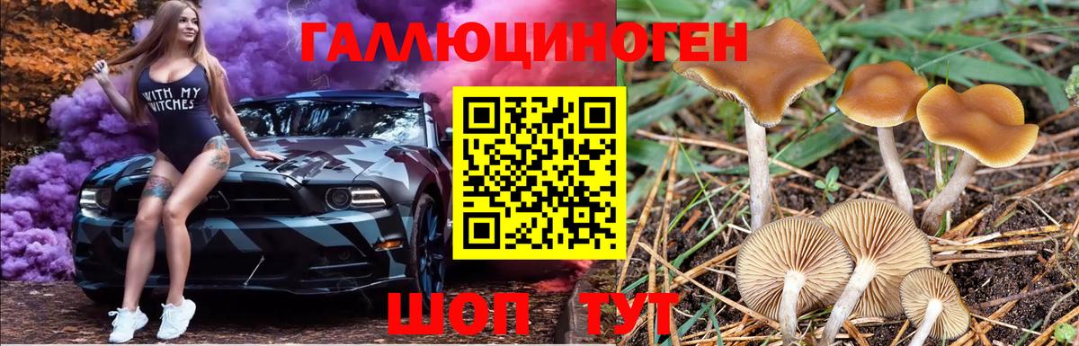Псилоцибиновые грибы мухоморы Зеленодольск