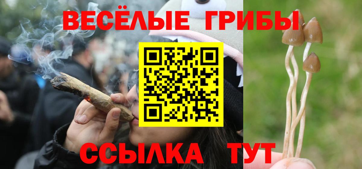 Галлюциногенные грибы мицелий  Псилоцибиновые грибы Cubensis  Вход с VPN  Зеленодольск 